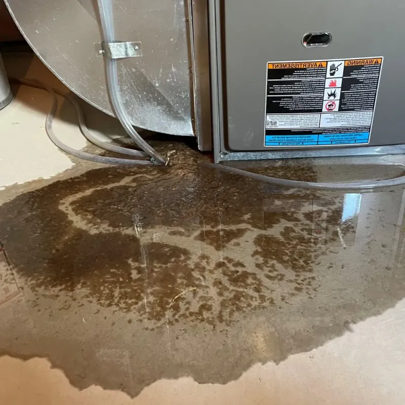 Pipe Burst and Leak Restoration in Columbia County, PA
