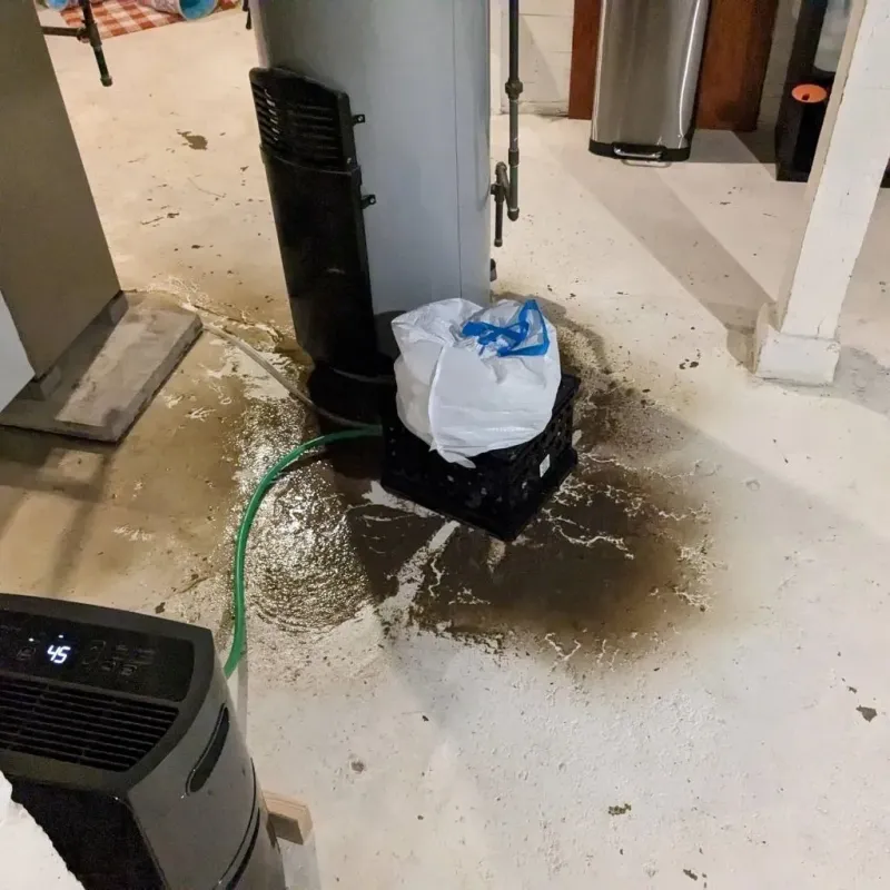 Sewage Backup Cleanup Service in Columbia County, PA